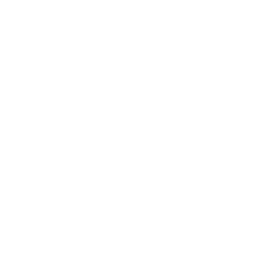 no insects